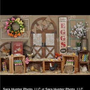 2 large spring photography kate backdrop